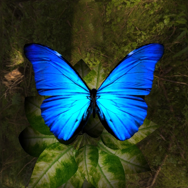 Morpho butterfly CG